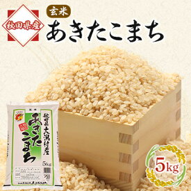【ふるさと納税】あきたこまち玄米5kg【配送不可地域：離島・沖縄県】【1595356】