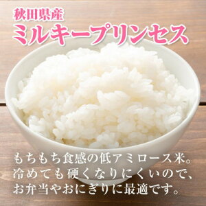 yӂ邳Ɣ[ŁzyVė\zߘa7NY ~L[vZX  20kg(5kg×4)yzsnFEꌧzy1666254z