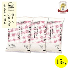 【ふるさと納税】【毎月定期便】秋田県産あきたこまち白米15kg(5kg×3)全3回【配送不可地域：離島・沖縄県】【4072864】