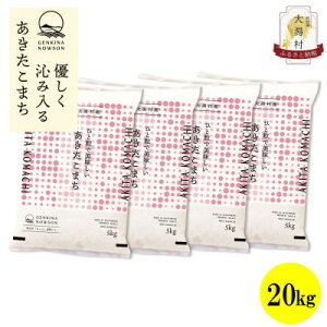 yӂ邳Ɣ[ŁzyցzHcY܂20kg(5kg×4)S3yzsnFEꌧzy4072867z