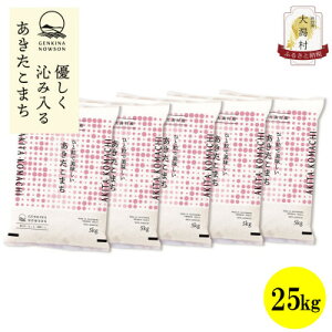 【ふるさと納税】【毎月定期便】秋田県産あきたこまち白米25kg(5kg×5)全3回【配送不可地域:離島・沖縄県】【4072875】