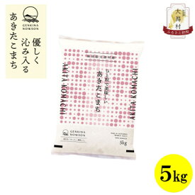 【ふるさと納税】【毎月定期便】秋田県産あきたこまち無洗米5kg(5kg×1)全12回【配送不可地域：離島・沖縄県】【4072897】