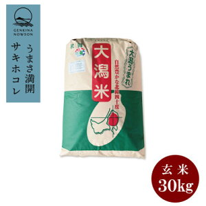 yӂ邳Ɣ[ŁzyցzTLzR30kg@1@đS12yzsnFEꌧzy4072959z