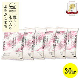 【ふるさと納税】【毎月定期便】秋田県産あきたこまち無洗米30kg(5kg×6)全6回【配送不可地域：離島・沖縄県】【4073094】