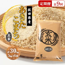 楽天市場】あいちのかおり 玄米 30kgの通販