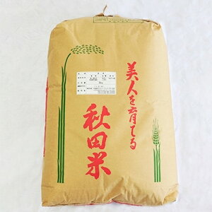 【ふるさと納税】あきたこまち玄米30kg【1054693】