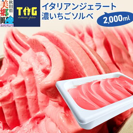 【ふるさと納税】ジェラテリア TiG（ティグ）イタリアンジェラート 無着色・無香料 濃いちごソルベ 2000ml（2L）