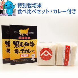 【ふるさと納税】令和5年産 美郷町のお米 秋田県産 特別栽培米 あきたこまち・ゆめおばこ食べ比べセット 牛肉カレー付き