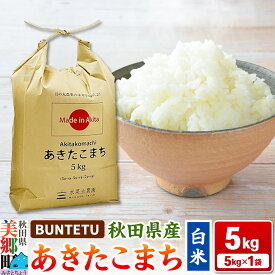 【ふるさと納税】【令和7年産・白米】あきたこまち 5kg（5kg×1袋）秋田県美郷町産