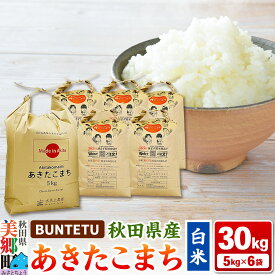 【ふるさと納税】【令和7年産・白米】あきたこまち 30kg（5kg×6袋）秋田県美郷町産
