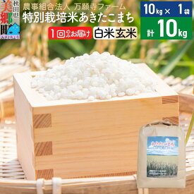 【ふるさと納税】【白米/玄米 選べる】令和5年産 特別栽培米あきたこまち 10kg（10kg×1袋）