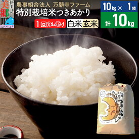 【ふるさと納税】【白米/玄米 選べる】令和5年産 特別栽培米つきあかり 10kg（10kg×1袋）