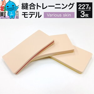 yӂ邳Ɣ[ŁzDg[jOfiVarious skinj12cm×6cm×1cm ×3 lH畆 w a@ Î{ E^n Hc 