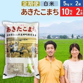 【ふるさと納税】《定期便2ヶ月》令和7年産 あきたこまち特別栽培米10kg（5kg×2袋）×2回 計20kg【白米】秋田県産あきたこまち 2か月 2ヵ月 2カ月 2ケ月 秋田こまち お米 秋田