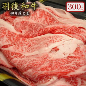 【ふるさと納税】羽後和牛 贅沢切り落とし300g