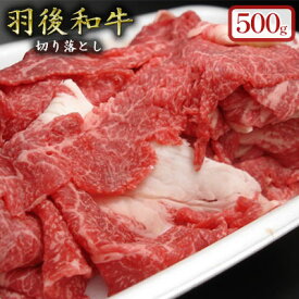 【ふるさと納税】500gのボリューム！羽後和牛 切り落とし