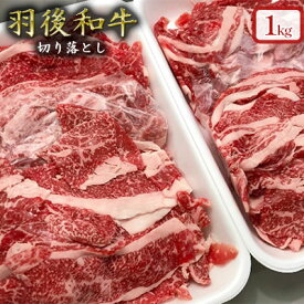 【ふるさと納税】1kgのボリューム！羽後和牛 切り落とし 1kg