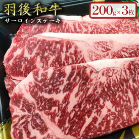 【ふるさと納税】羽後和牛サーロインステーキ200g×3枚