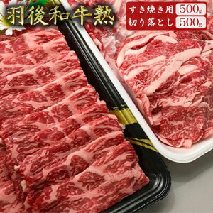 yӂ邳Ɣ[ŁzuHav݂̐̐e uHa nvĂp500g{؂藎Ƃ500g v1kg ₫ XLL