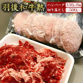 【ふるさと納税】「羽後和牛」の生みの親 「羽後和牛 熟」ハンバーグ150g×6個＋切り落とし500g 手ごね 和牛ハンバーグ 牛肉