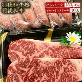 【ふるさと納税】「羽後和牛」の生みの親 「羽後和牛 熟」ハンバーグ150g×6個＋「羽後和牛」サーロインステーキ400g