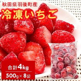 【ふるさと納税】冷凍いちご　4kg（500g×8）国産 イチゴ ジャム スムージー お菓子づくり 大容量 果物 フルーツ 冷凍果物 冷凍フルーツ そのまま トッピング フローズンイチゴ ストロベリー