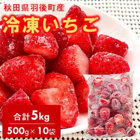 【ふるさと納税】冷凍いちご　5kg（500g×10）国産 イチゴ ジャム スムージー お菓子づくり 大容量　【 果物 フルーツ 冷凍果物 冷凍フルーツ そのまま トッピング フローズンイチゴ ストロベリー 】