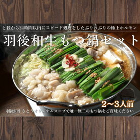 【ふるさと納税】羽後和牛もつ鍋セット2～3人前 しょうゆ味 鍋物 グルメ 新鮮ホルモン 夕飯 集まり イベント 女子会 忘年会 新年会 鍋料理