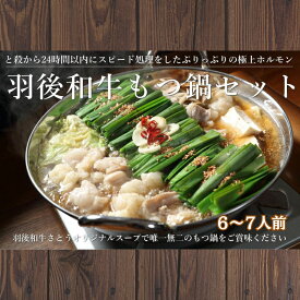 【ふるさと納税】羽後和牛もつ鍋セット6～7人前 しょうゆ味 鍋物 グルメ 新鮮ホルモン 夕飯 集まり イベント 女子会 忘年会 新年会 鍋料理