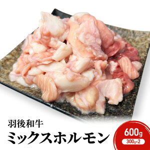 yӂ邳Ɣ[ŁzHc H㒬Y Ha ~bNXz 600g i300g×2jy ē z BBQ o[xL[ Lv z