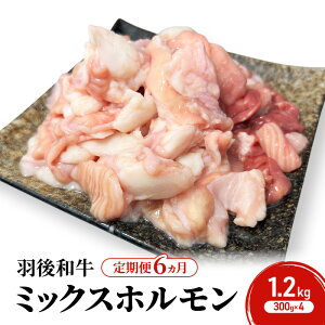 yӂ邳Ɣ[Łzs  6 t Hc H㒬Y Ha ~bNXz 1.2kg i300g×4jy ē z BBQ o[xL[ Lv z