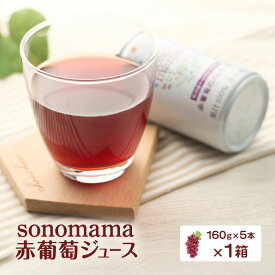 【ふるさと納税】赤葡萄ジュース「sonomama」（160g×5本）×1箱 ぶどう ブドウ ジュース ぶどうジュース 飲料