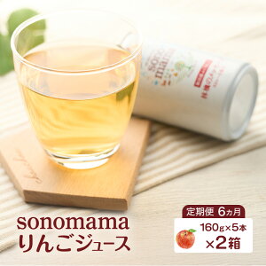 【ふるさと納税】《 定期便 6ヵ月 》 りんごジュース「sonomama」(160g×5本)×2箱 りんご リンゴ ジュース リンゴジュース 飲料