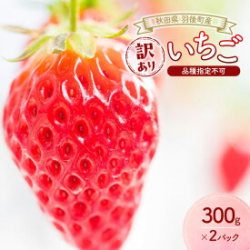 【ふるさと納税】秋田県 羽後町産 訳あり いちご 品種指定不可 300g×2パック　[ いちご 苺 イチゴ フルーツ 果物 ]　お届け：2026年1月下旬～6月上旬