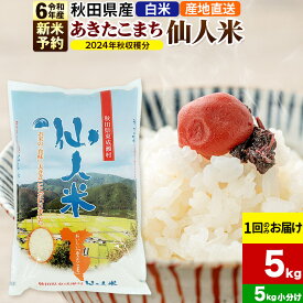 【ふるさと納税】※令和6年産 新米予約※《1回のみお届け》令和6年産 あきたこまち 秋田県産「仙人米」白米 5kg（5kg×1袋）【2024年秋ごろ出荷予定】