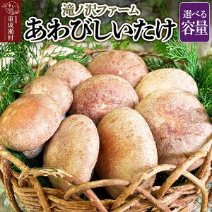 yӂ邳Ɣ[Łző т yIׂeʁz mt@[ ۏ VC^P ̂ H׉   Hc Y Ԃ i