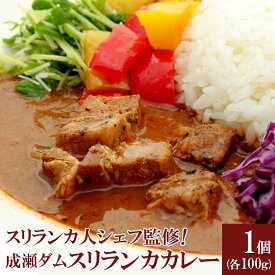 【ふるさと納税】成瀬ダム スリランカカレー 100g×1個 ゆうパケット