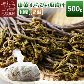 【ふるさと納税】山菜 わらびの塩漬け 500g 秋田県 東成瀬村産 TAKAYA [山菜 国産 ワラビ わらび 塩漬け]
