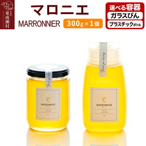 yӂ邳Ɣ[ŁzMARRONNIER }jG 300g×1yIׂe KXт^vX`bN{gz