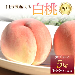 yӂ邳Ɣ[Łz ss\ 2026Nxt R`Y  Gi 5kg    fU[g t[c ʕ  ʎ Hi R` FSY-1241