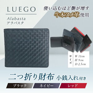 yӂ邳Ɣ[ŁzLUEGO Alabasta AoX^ ܂z Kt iubNAbhAlCr[jF2Y-3264