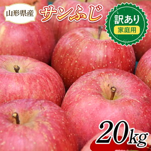 yӂ邳Ɣ[Łz 󂠂 Tӂ 20kg (10kg×2) R`Y ss\ 2025N11{甭Jnt S ь fU[g t[c ʕ  ʎ Hi R` FSY-1395