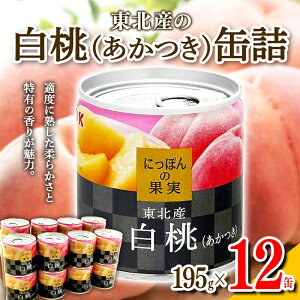 yӂ邳Ɣ[Łz  ɂۂ̉ʎ kYijt[cʋl 195g×12 F2Y-4234