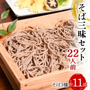 【ふるさと納税】 そば三昧セット 22人前 (計11袋) 大沼製麺所 F2Y-3461