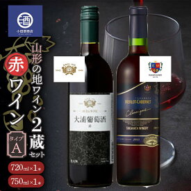【ふるさと納税】 山形の地ワイン 2蔵セット 赤ワイン （タイプA） F2Y-3526