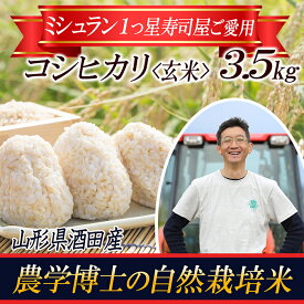 【ふるさと納税】【令和5年産米】《自然栽培米》 コシヒカリ 農学博士が育てた 玄米 3.5kg F2Y-3665