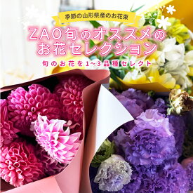 【ふるさと納税】 季節の山形県産のお花束 ZAO 旬のオススメのお花セレクション F2Y-3724