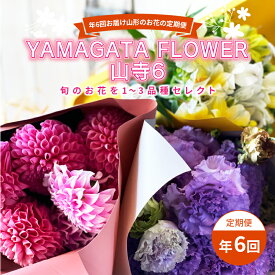 【ふるさと納税】 年6回お届け山形のお花の定期便 YAMAGATA FLOWER 山寺6 F2Y-3726