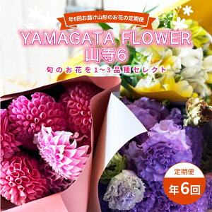 yӂ邳Ɣ[Łz N6񂨓͂R`̂Ԃ̒ YAMAGATA FLOWER R6 F2Y-3726