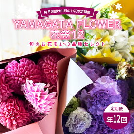 【ふるさと納税】 毎月お届け山形のお花の定期便 YAMAGATA FLOWER 花笠12 F2Y-3727